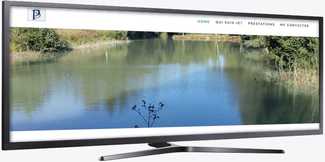 Site web - psconseils.ch